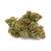 Zweet Insanity THCa Hemp Flower - Plants