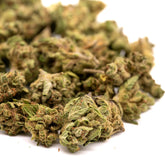 Zweet Insanity THCa Hemp Flower Smalls - Plants