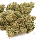 Zweet Insanity THCa Hemp Flower - Plants