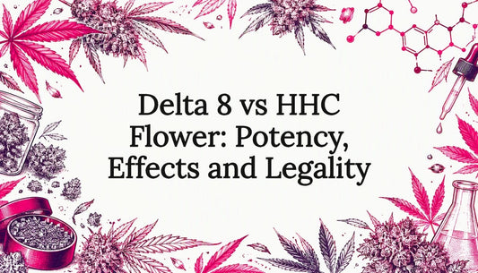 Hemp botanicals and molecule sketch framing title