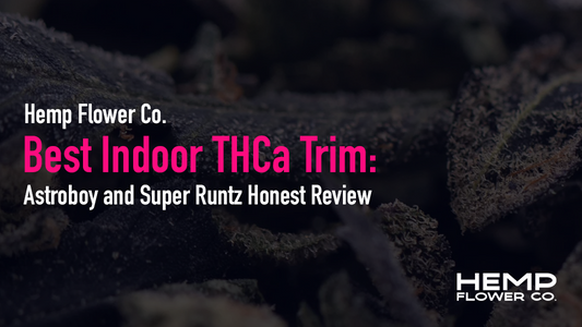 Astroboy and Super Runtz Honest Review