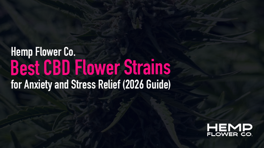 Discover the best CBD flower for anxiety and stress relief. Explore calming, high-CBD low-THC strains rich in linalool and limonene for non-intoxicating daytime relaxation.
