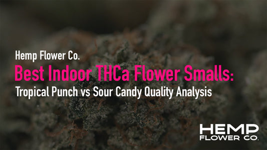 Best Indoor THCa Flower Smalls