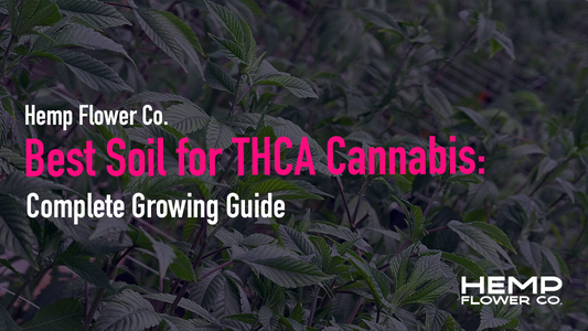 Best Soil for THCA Cannabis