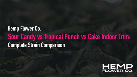 Sour Candy vs Tropical Punch vs Cake Batter Indoor Trim