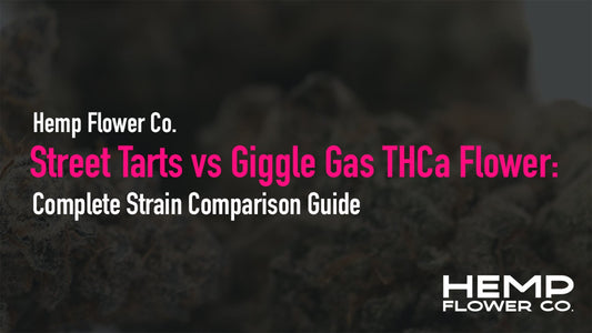 Street Tarts vs Giggle Gas THCa Flower: Complete Strain Comparison Guide