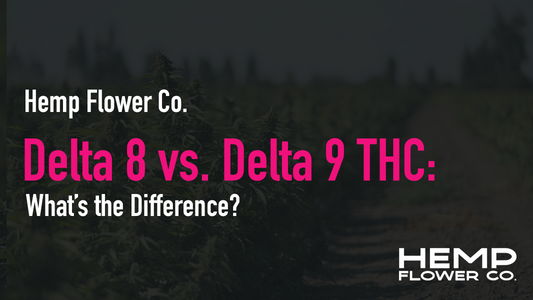 Delta 8 vs. Delta 9 THC: What’s the Difference?