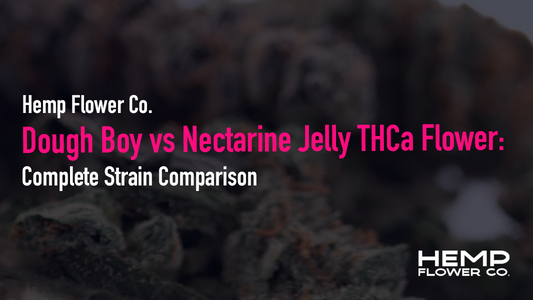 Dough Boy vs Nectarine Jelly THCa Flower