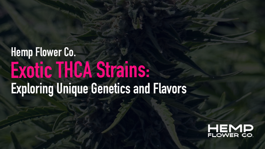 Exotic THCA Strains