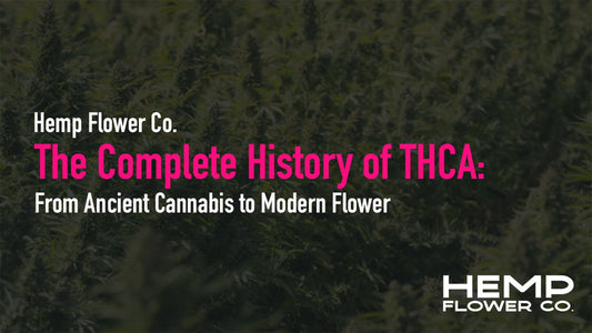 From Ancient Cannabis to Modern Flower