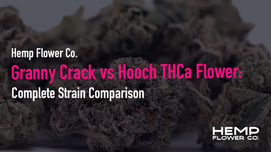 xGranny Crack vs Hooch THCa Flower: