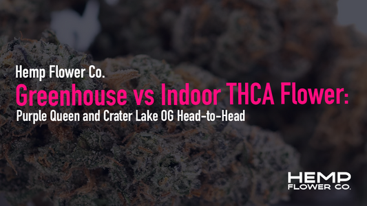 Greenhouse vs Indoor THCA Flower