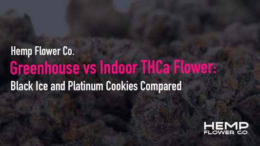 Greenhouse vs Indoor THCa Flower