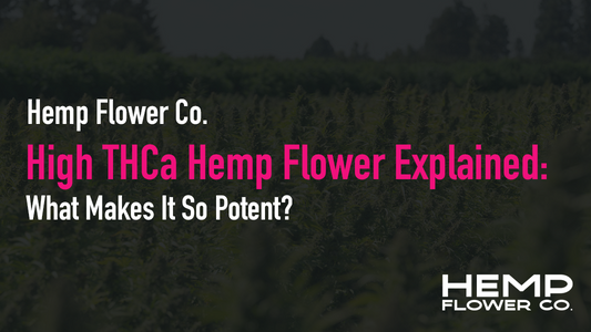 High THCa Hemp Flower Explained: What Makes It So Potent?