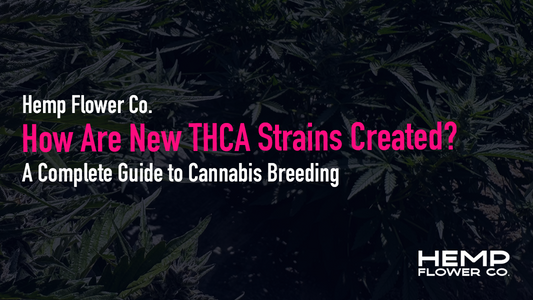 How Are New THCA Strains Created?