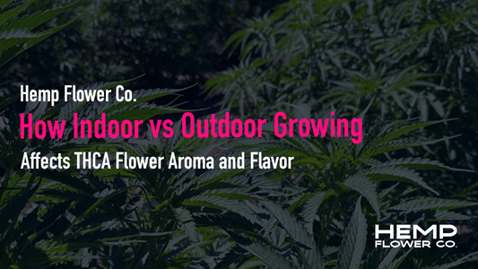 How Indoor vs Outdoor Growing 