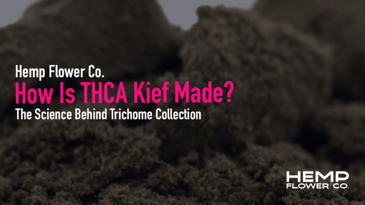 Discover how THCA kief is made — from selecting high-trichome hemp flower to dry sift techniques, mesh screen micron sizes, and full melt grading.