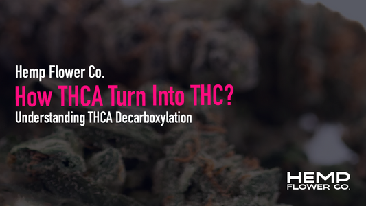 Does THCA turn into THC? Learn exactly how and when decarboxylation happens — and why it matters for potency and compliance.