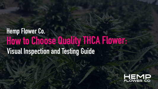 How to Choose Quality THCA Flower