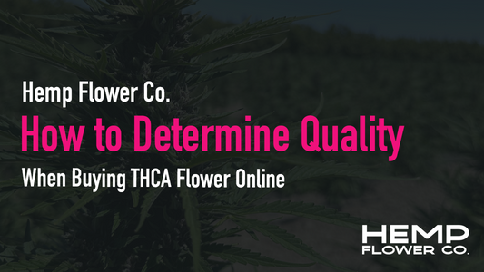 How to Determine Quality When Buying THCA Flower Online