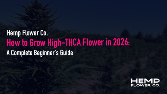 Learn how to grow THCA flower in 2026 — genetics, flowering, harvest & compliance testing explained. Or skip ahead to lab-tested THCA flower.