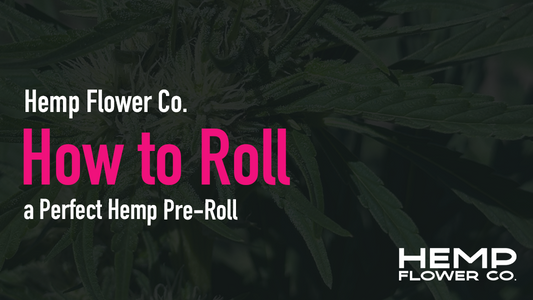 How to Roll a Perfect Hemp Pre-Roll