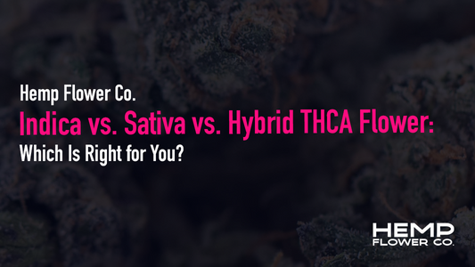 Indica vs. sativa vs. hybrid THCA flower — which is right for you? Compare effects and find your best fit.