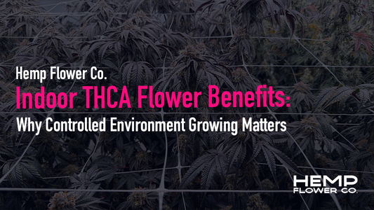 Indoor THCA Flower Benefits