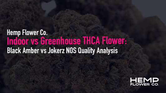 Indoor vs Greenhouse THCA Flower