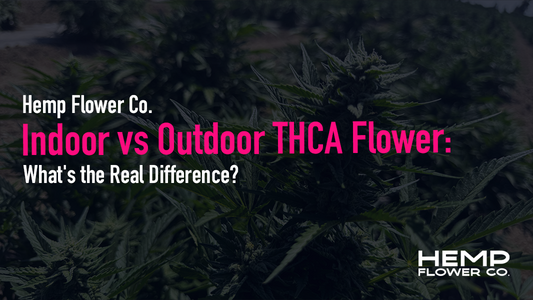 Indoor vs Outdoor THCA Flower: What's the Real Difference?