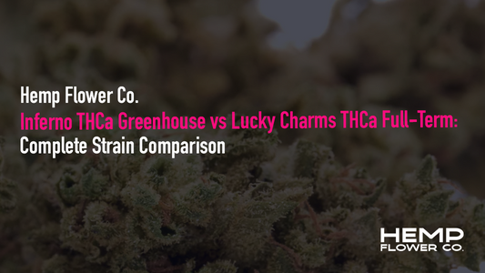 Inferno THCa Greenhouse vs Lucky Charms THCa Full-Term: 