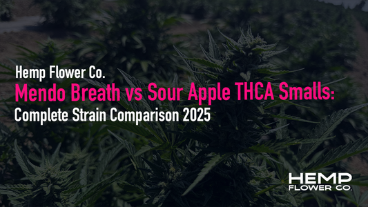 Mendo Breath vs Sour Apple THCA Smalls