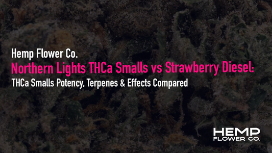 Compare Northern Lights vs Strawberry Diesel THCa smalls side by side potency, terpenes, and effects broken down to help you choose the right indoor small buds.