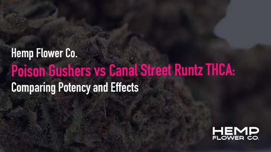 Poison Gushers vs Canal Street Runtz THCA