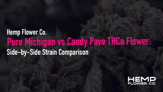 Pure Michigan vs Candy Pave THCa Flower