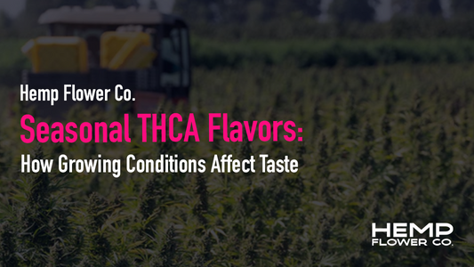 Seasonal THCA Flavors