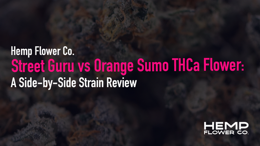 Street Guru vs Orange Sumo: a full side-by-side THCa flower review covering aroma, effects, terpenes, and which top shelf indoor strain fits your vibe.