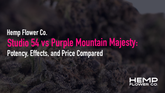 Studio 54 vs Purple Mountain Majesty