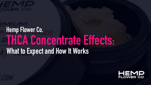 What to Expect and How It Works