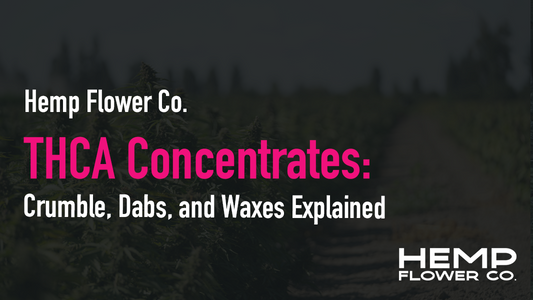 THCA Concentrates: Crumble, Dabs, and Waxes Explained