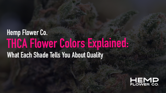 Decode THCA flower colors before you buy. Green, purple, orange, white, brown — learn what each shade reveals about quality, potency, and freshness.