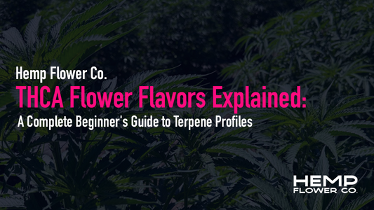 THCA Flower Flavors Explained
