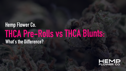 THCA pre-rolls and blunts both deliver hemp flower, but the wrap, burn, and experience differ. Here's how to pick.