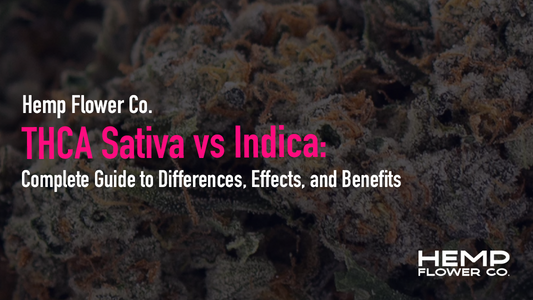 THCA Sativa vs Indica