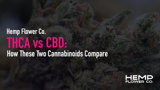 Compare THCA and CBD effects, legal status, therapeutic benefits, and product types to decide whether THCA or CBD is the right cannabinoid for your needs.