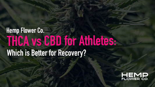 THCA vs CBD for Athletes: