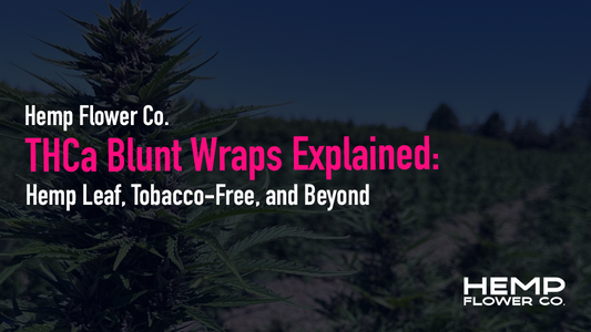 This guide breaks down every major blunt wrap type, from tobacco and hemp leaf to herbal alternatives, so you can make the most of your THCa flower.