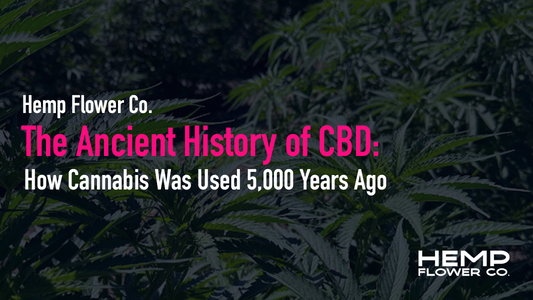 The Ancient History of CBD: