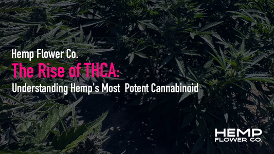 The Rise of THCA