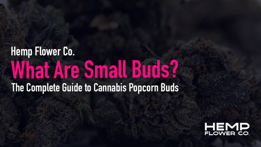 What Are Small Buds?